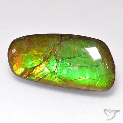 Ammolite Multicolore naturale da 12.44 ct, Taglio a fantasia, Opaco