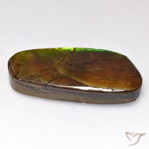 Ammolite Multicolore naturale da 12.44 ct, Taglio a fantasia, Opaco