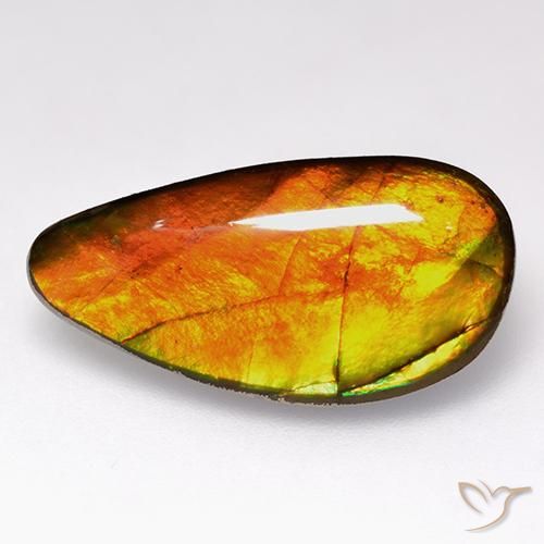 Ammolite Multicolore naturale da 10.05 ct, Taglio a fantasia, Opaco