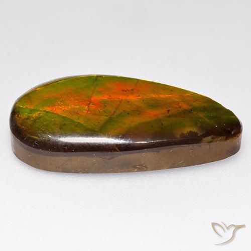 Ammolite Multicolore naturale da 10.05 ct, Taglio a fantasia, Opaco