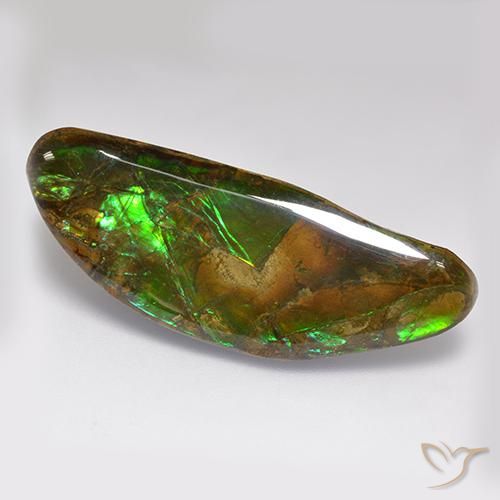 22.02ct Naturale Multicolore Ammolite, Taglio a fantasia, Opaco