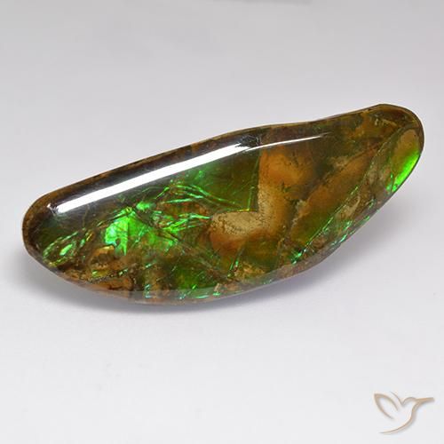 Ammolite Multicolore naturale da 22.02 ct, Taglio a fantasia, Opaco