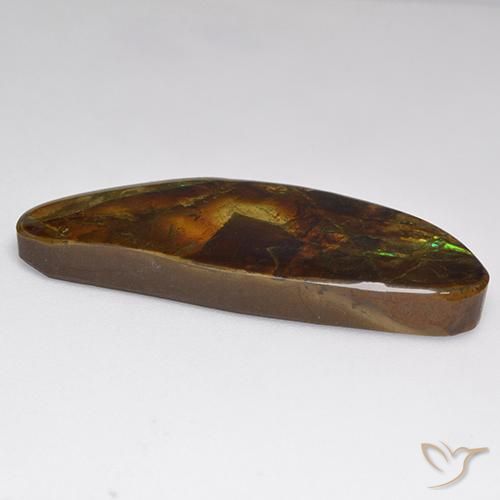 Ammolite Multicolore naturale da 22.02 ct, Taglio a fantasia, Opaco