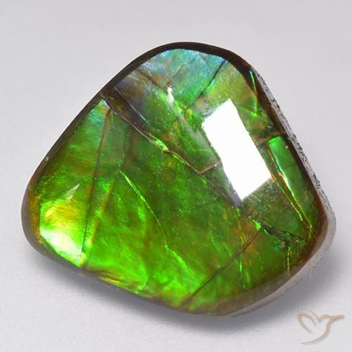 9.81ct Naturale Multicolore Ammolite, Taglio a fantasia, Opaco