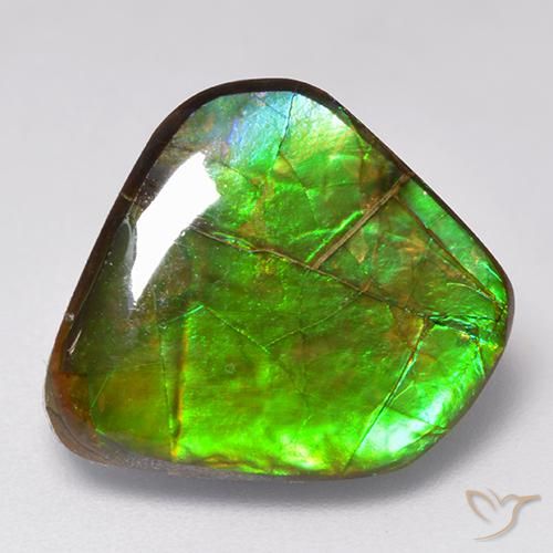 Ammolite Multicolore naturale da 9.81 ct, Taglio a fantasia, Opaco