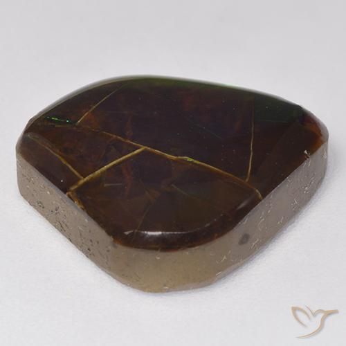 Ammolite Multicolore naturale da 9.81 ct, Taglio a fantasia, Opaco