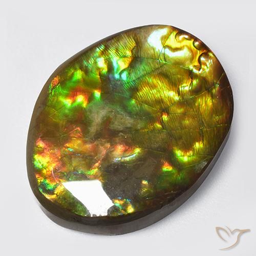 14.70ct Naturale Multicolore Ammolite, Taglio a fantasia, Opaco