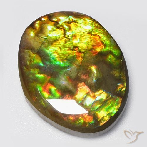 Ammolite Multicolore naturale da 14.70 ct, Taglio a fantasia, Opaco