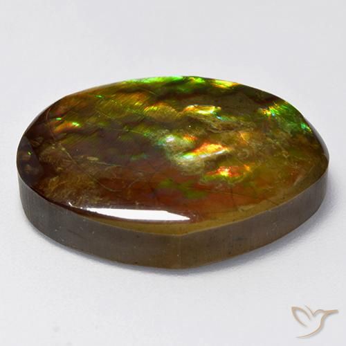 Ammolite Multicolore naturale da 14.70 ct, Taglio a fantasia, Opaco