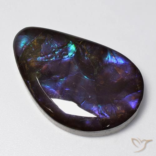 Ammolite Multicolore naturale da 19.21 ct, Taglio a fantasia, Opaco
