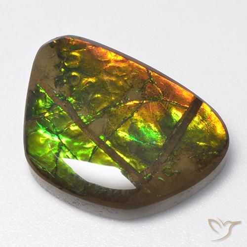 13.40ct Naturale Multicolore Ammolite, Taglio a fantasia, Opaco