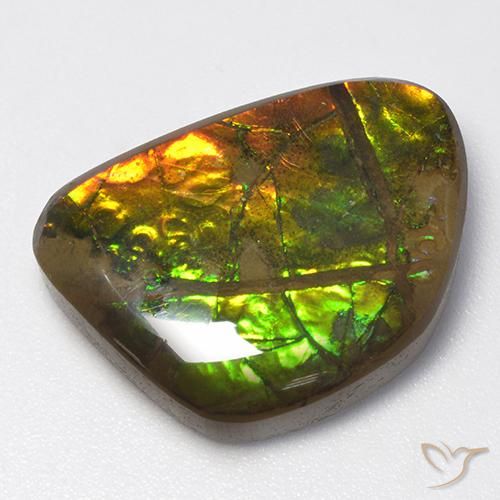 Ammolite Multicolore naturale da 13.40 ct, Taglio a fantasia, Opaco