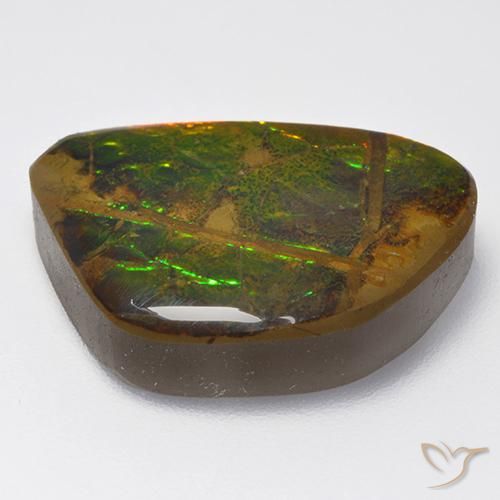 Ammolite Multicolore naturale da 13.40 ct, Taglio a fantasia, Opaco