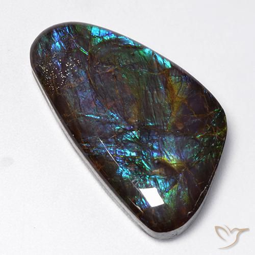 18.97ct Naturale Multicolore Ammolite, Taglio a fantasia, Opaco