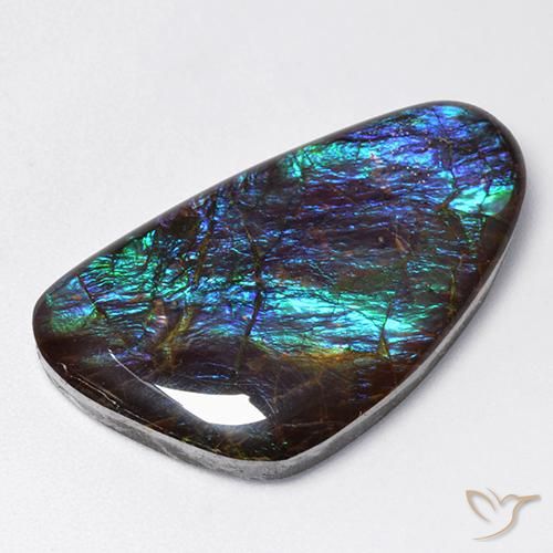 Ammolite Multicolore naturale da 18.97 ct, Taglio a fantasia, Opaco