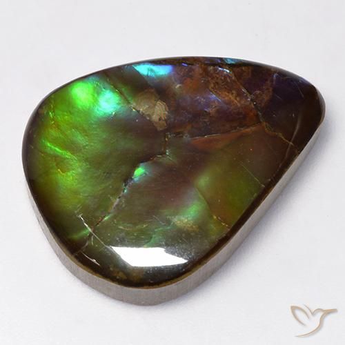 Ammolite Multicolore naturale da 16.73 ct, Forma a pera, Opaco