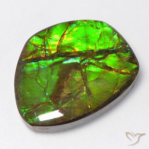 15.50ct Naturale Multicolore Ammolite, Taglio a fantasia, Opaco