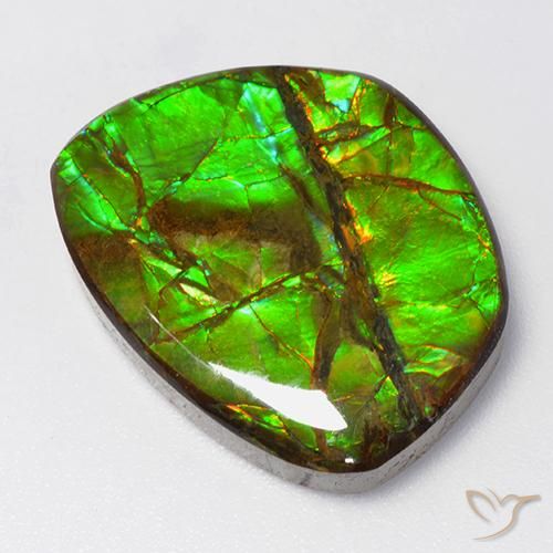 Ammolite Multicolore naturale da 15.50 ct, Taglio a fantasia, Opaco