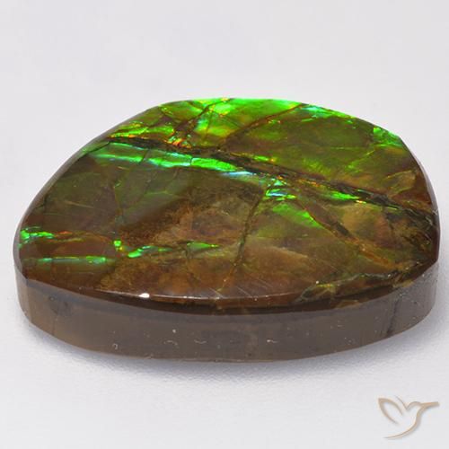 Ammolite Multicolore naturale da 15.50 ct, Taglio a fantasia, Opaco