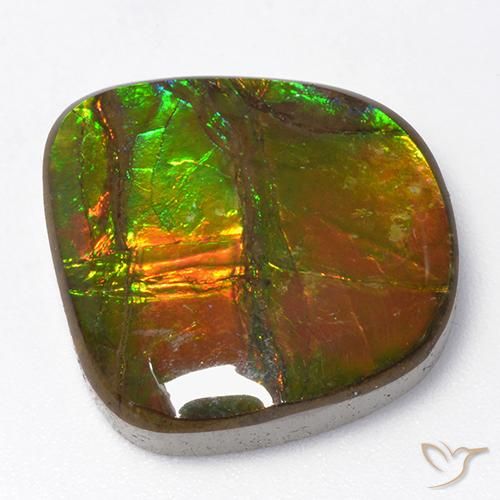 13.06ct Naturale Multicolore Ammolite, Taglio a fantasia, Opaco
