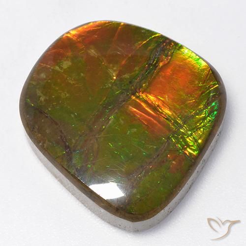 Ammolite Multicolore naturale da 13.06 ct, Taglio a fantasia, Opaco