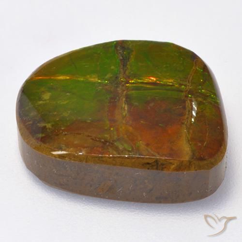 Ammolite Multicolore naturale da 13.06 ct, Taglio a fantasia, Opaco