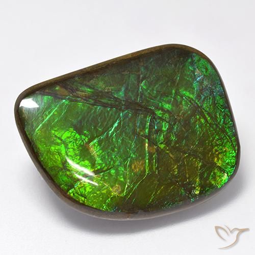 19.75ct Naturale Multicolore Ammolite, Taglio a fantasia, Opaco