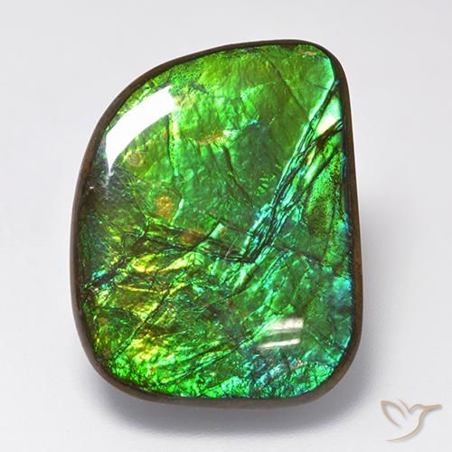 Ammolite Multicolore naturale da 19.75 ct, Taglio a fantasia, Opaco