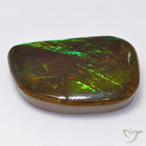 Ammolite Multicolore naturale da 19.75 ct, Taglio a fantasia, Opaco
