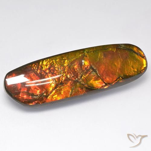 18.52ct Naturale Multicolore Ammolite, Taglio a fantasia, Opaco