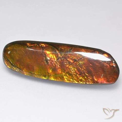 Ammolite Multicolore naturale da 18.52 ct, Taglio a fantasia, Opaco