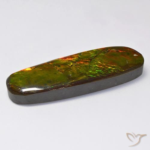 Ammolite Multicolore naturale da 18.52 ct, Taglio a fantasia, Opaco