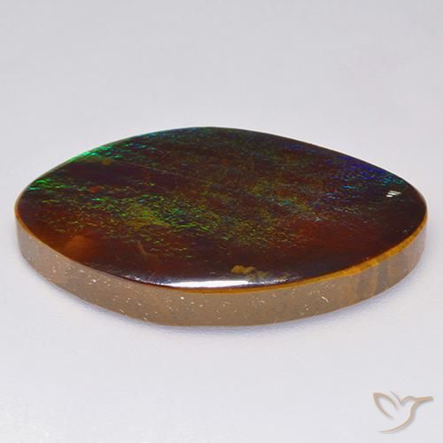 Ammolite Multicolore naturale da 18.89 ct, Taglio a fantasia, Opaco