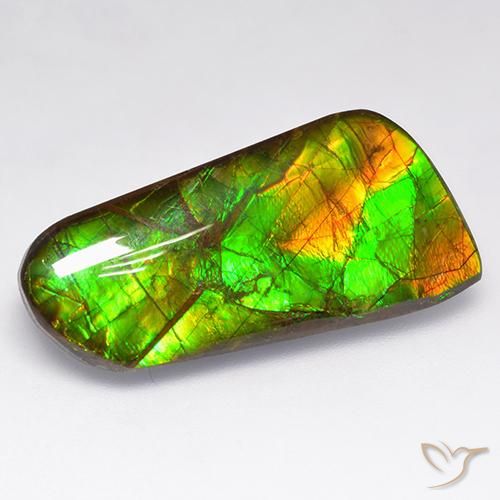 16.18ct Naturale Multicolore Ammolite, Taglio a fantasia, Opaco