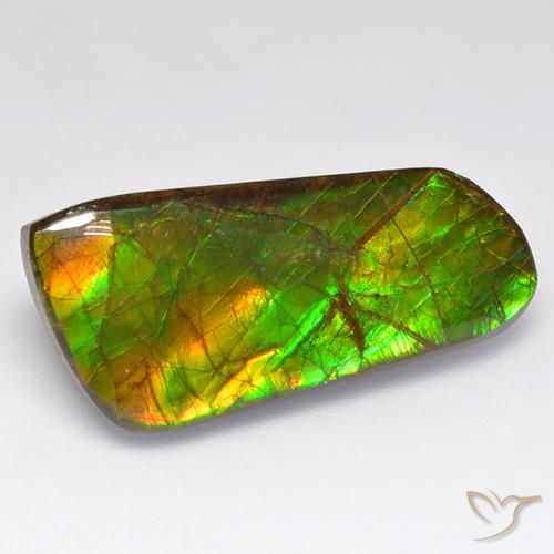 Ammolite Multicolore naturale da 16.18 ct, Taglio a fantasia, Opaco