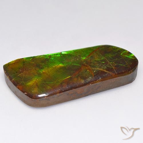 Ammolite Multicolore naturale da 16.18 ct, Taglio a fantasia, Opaco