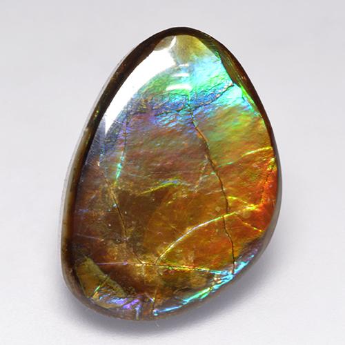 Ammolite naturale multicolore da 14,52 ct, forma fantasia, opaco
