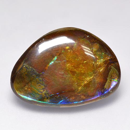 Ammolite naturale multicolore da 14,52 ct, forma fantasia, opaco