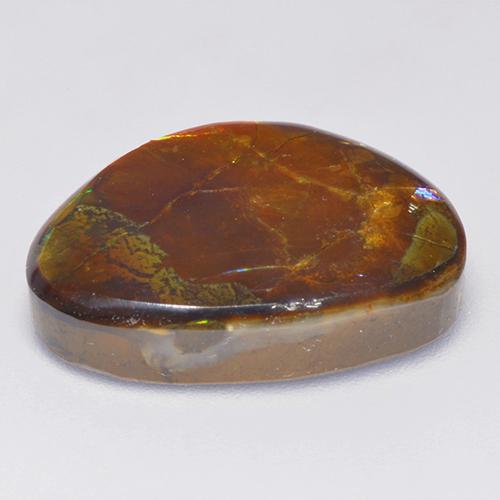 Ammolite naturale multicolore da 14,52 ct, forma fantasia, opaco