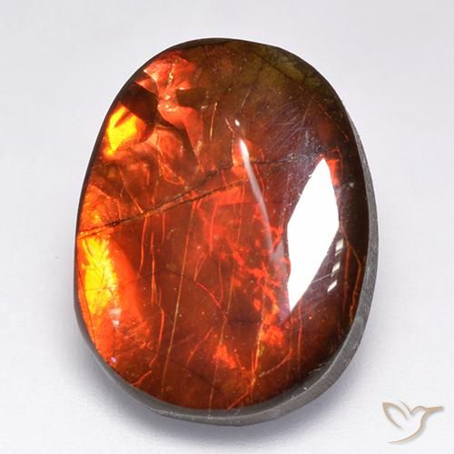 12.19ct Naturale Multicolore Ammolite, Taglio a fantasia, Opaco