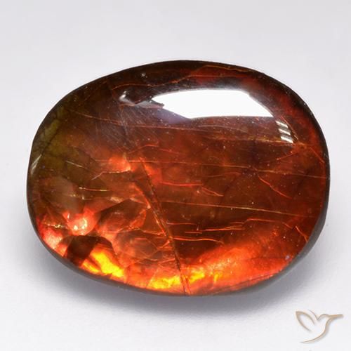 Ammolite Multicolore naturale da 12.19 ct, Taglio a fantasia, Opaco