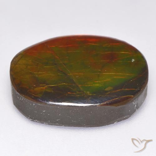 Ammolite Multicolore naturale da 12.19 ct, Taglio a fantasia, Opaco