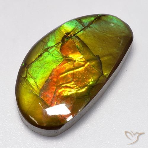 13.86ct Naturale Multicolore Ammolite, Taglio a fantasia, Opaco