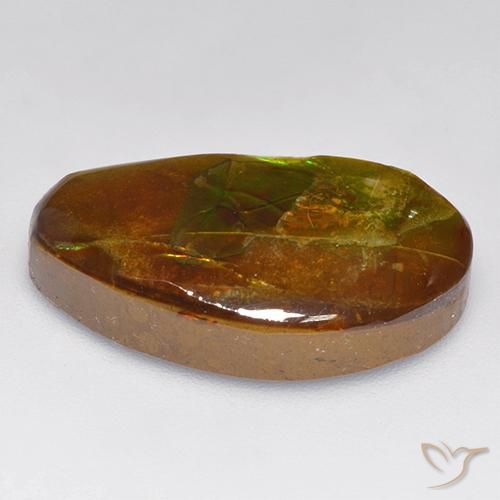 Ammolite Multicolore naturale da 13.86 ct, Taglio a fantasia, Opaco