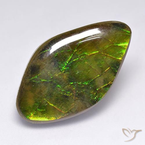 14.12ct Naturale Multicolore Ammolite, Taglio a fantasia, Opaco