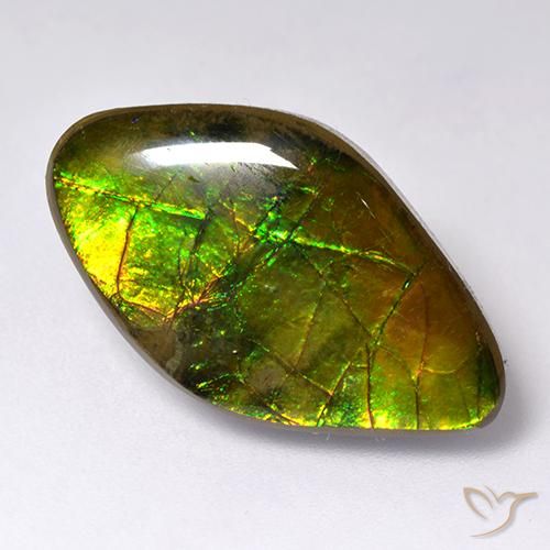 Ammolite Multicolore naturale da 14.12 ct, Taglio a fantasia, Opaco