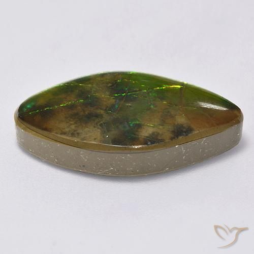 Ammolite Multicolore naturale da 14.12 ct, Taglio a fantasia, Opaco