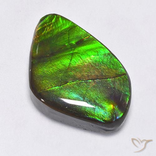 22.30ct Naturale Multicolore Ammolite, Taglio a fantasia, Opaco