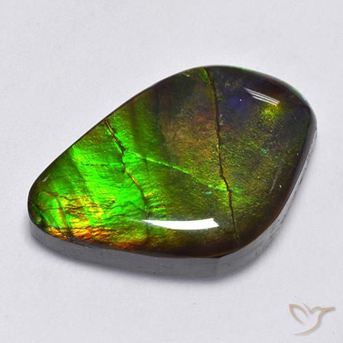 Ammolite Multicolore naturale da 22.30 ct, Taglio a fantasia, Opaco