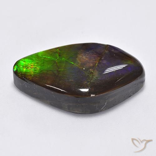Ammolite Multicolore naturale da 22.30 ct, Taglio a fantasia, Opaco